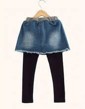 Load image into Gallery viewer, Skirt/leggings Combo