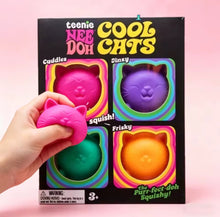 Load image into Gallery viewer, Cool Cat Mini Set Nee ***