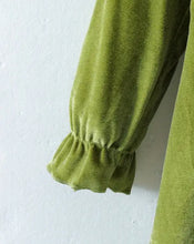 Load image into Gallery viewer, Velvet Sleeve Dress