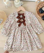 Load image into Gallery viewer, Floral Babydoll Winter dress