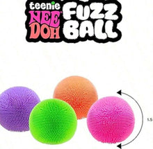 Load image into Gallery viewer, Teenie Fuzz Ball Nee *** Set