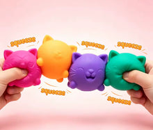Load image into Gallery viewer, Cool Cat Mini Set Nee ***