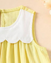 Load image into Gallery viewer, Walking Duck Dress